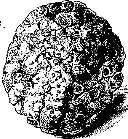 090/090550020001720_2.png