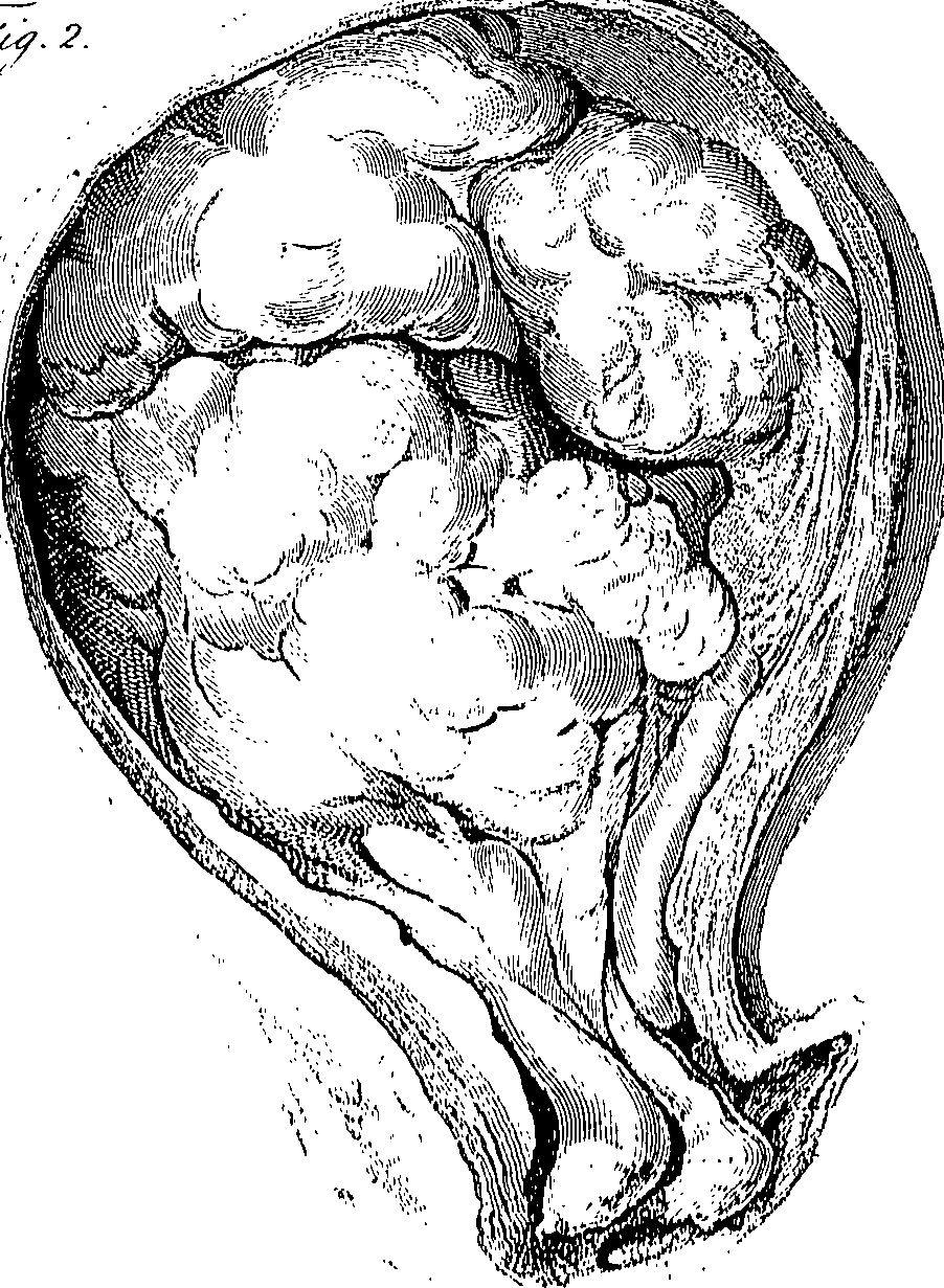 090/090550020001760_0.png