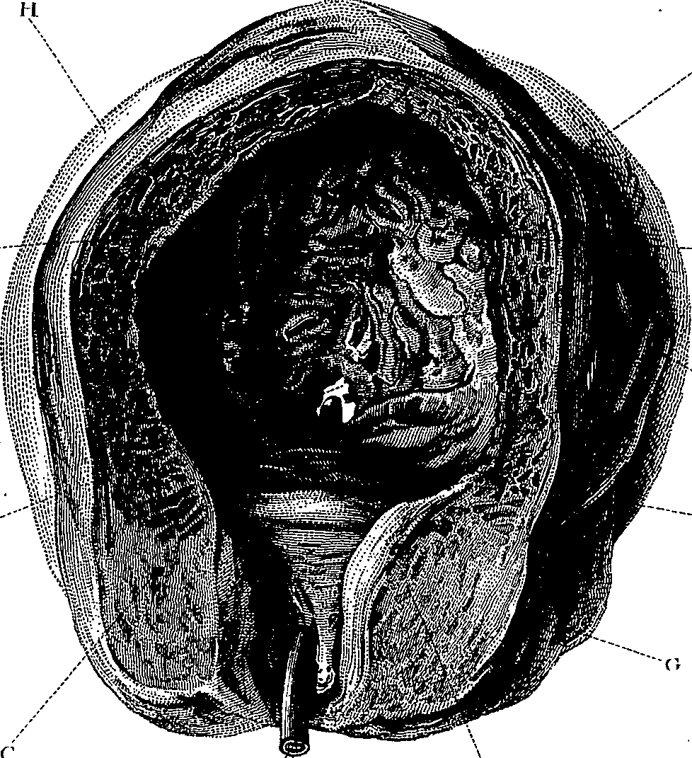 090/090550020001810_1.png