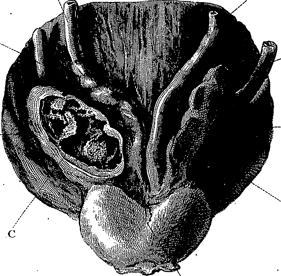 090/090550020001850_1.png