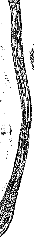 090/090550020002000_0.png