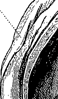 090/090550020002130_0.png