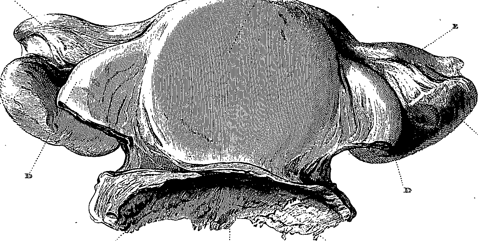 090/090550020002130_1.png