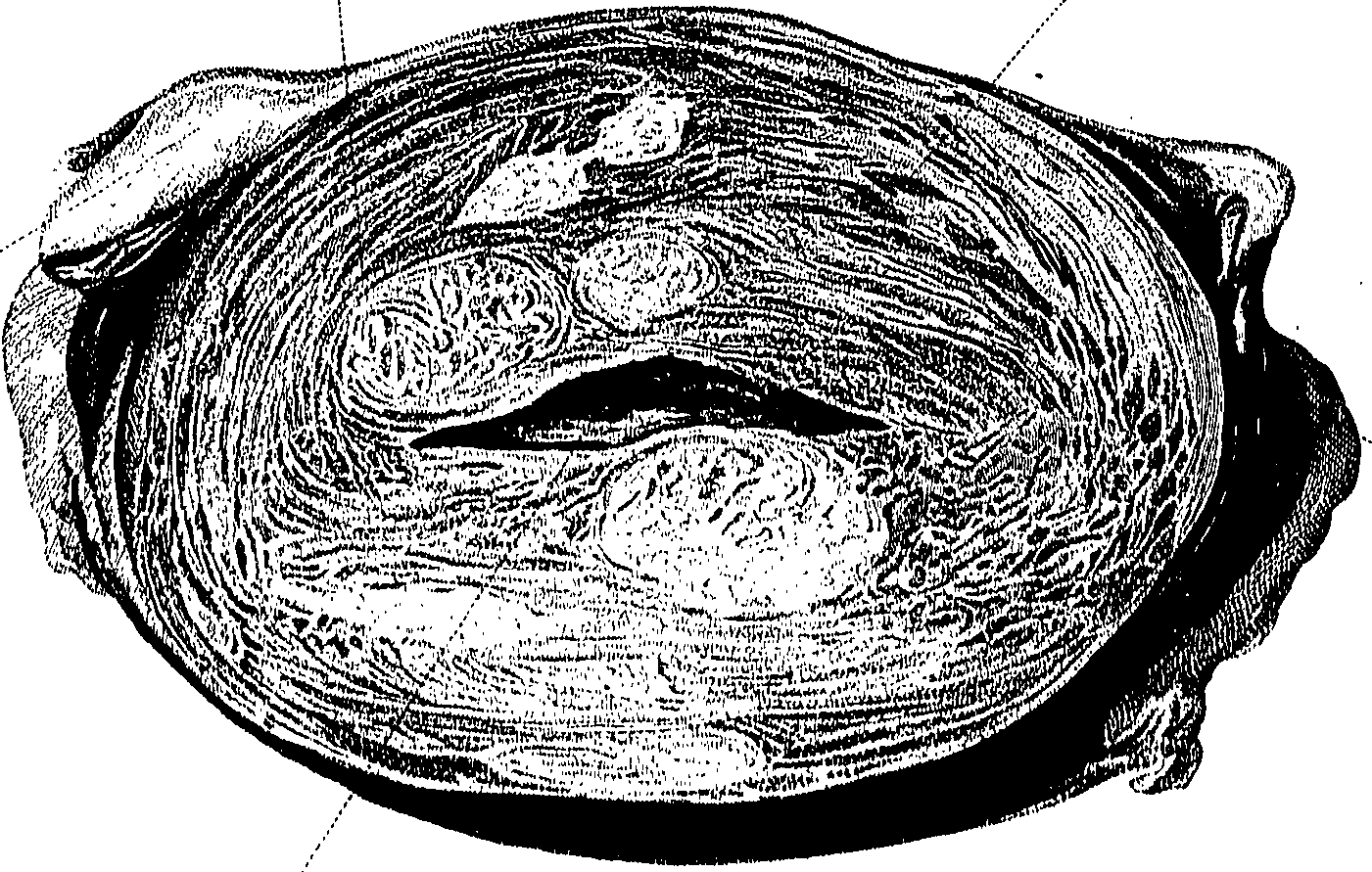 090/090550020002180_1.png