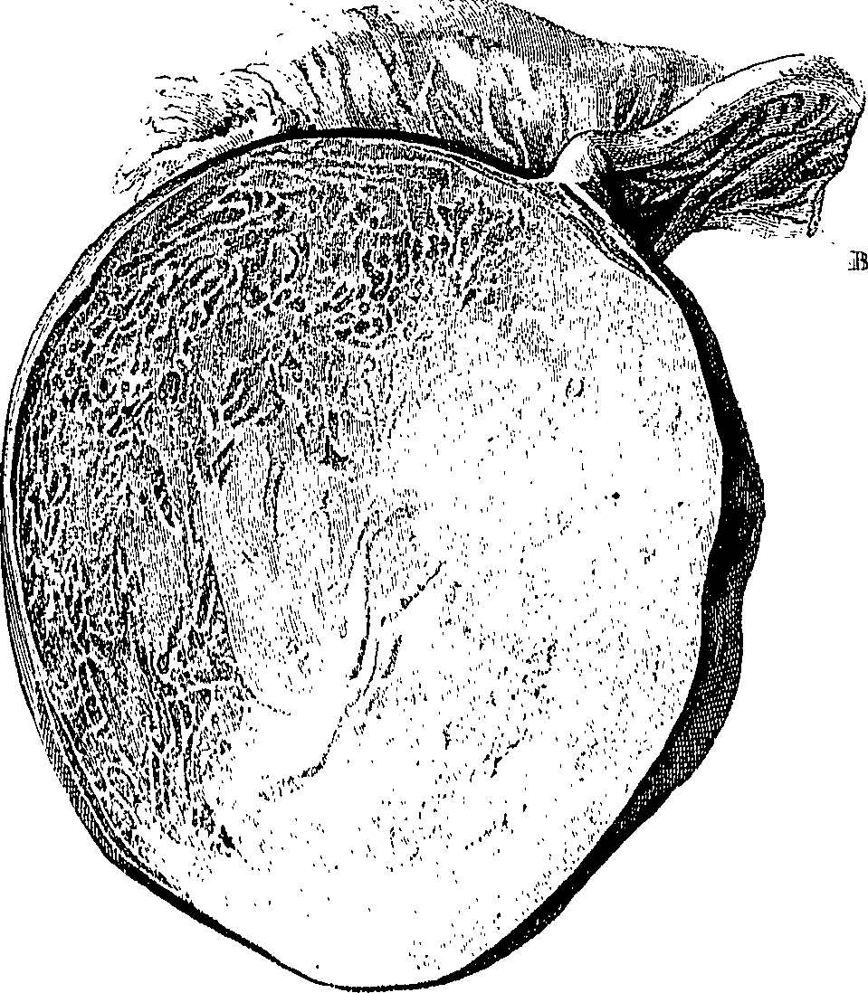 090/090550020002340_1.png