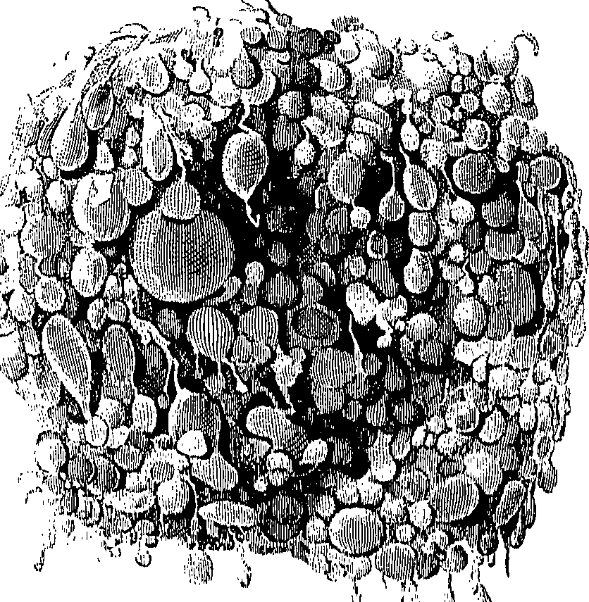 090/090550020002380_1.png