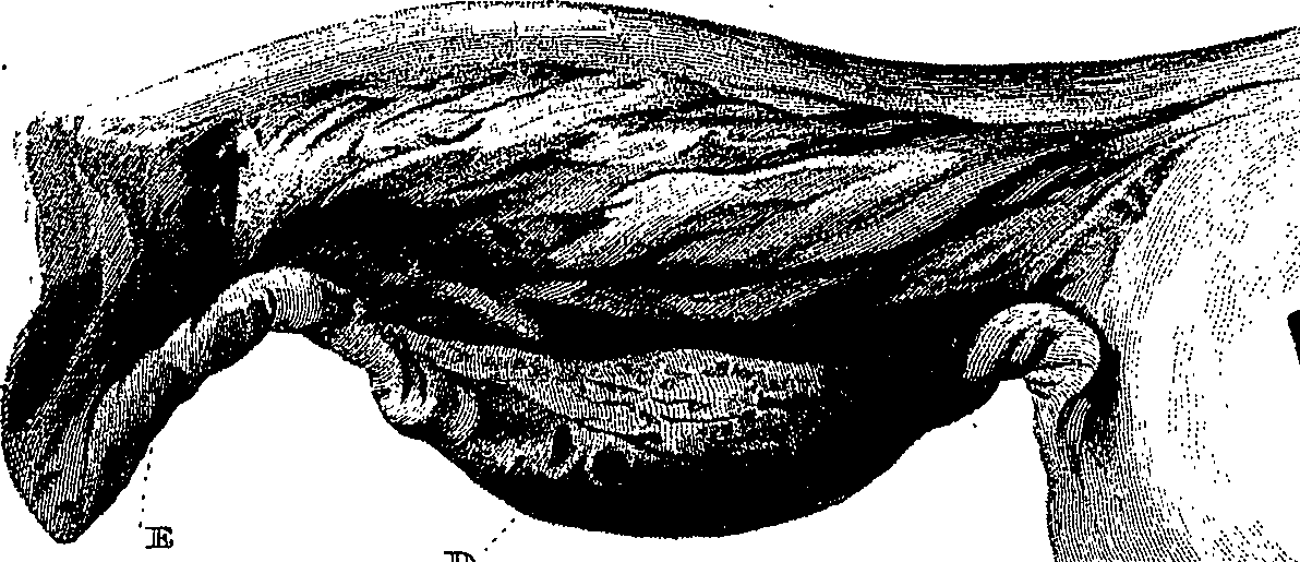 090/090550020002380_3.png