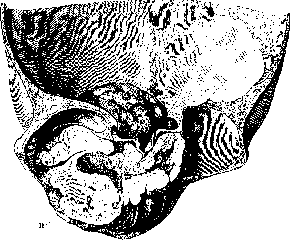 090/090550020002420_0.png