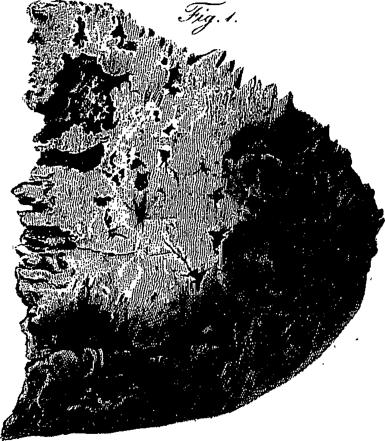 090/090550020002460_1.png