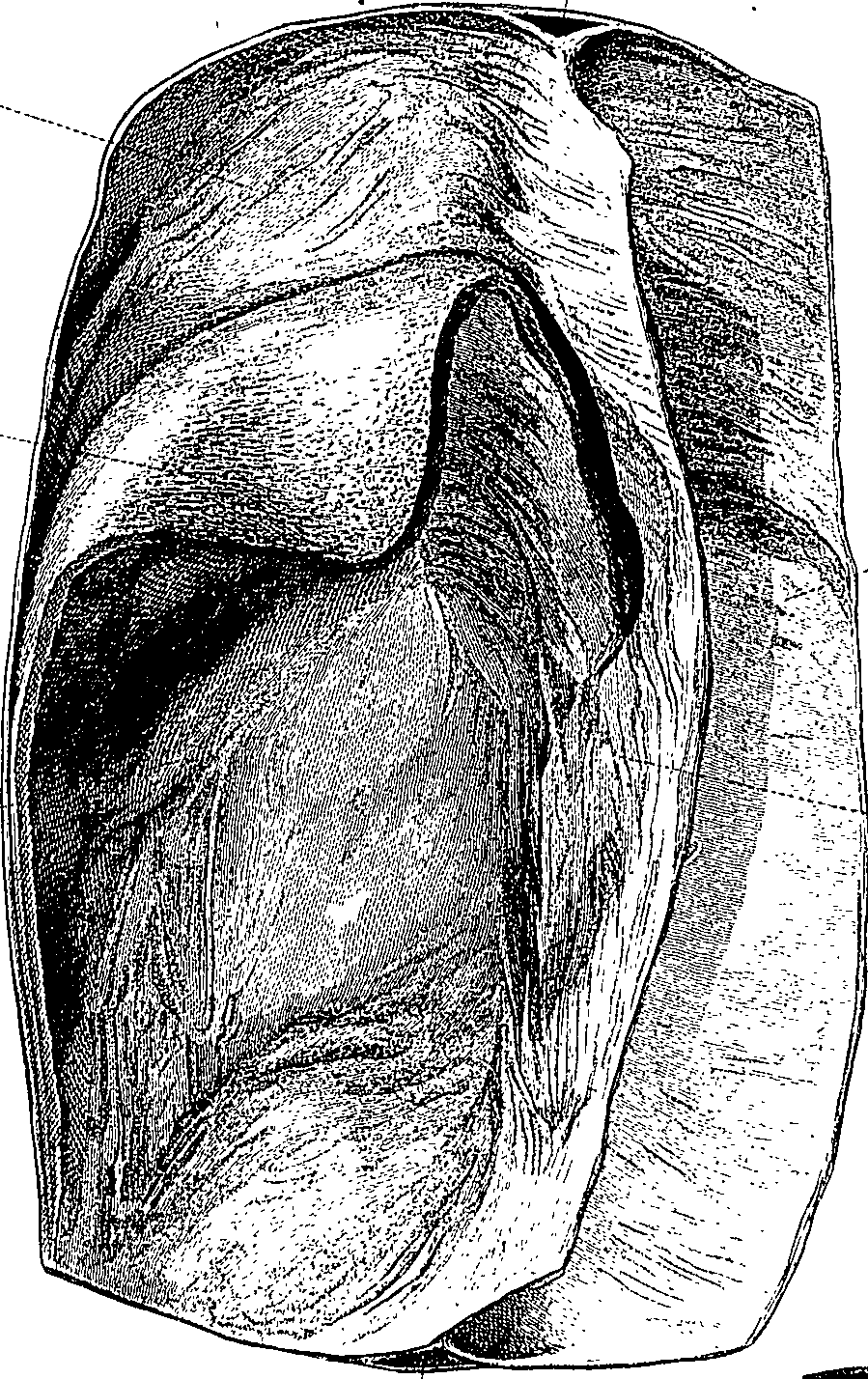 090/090550020002520_0.png