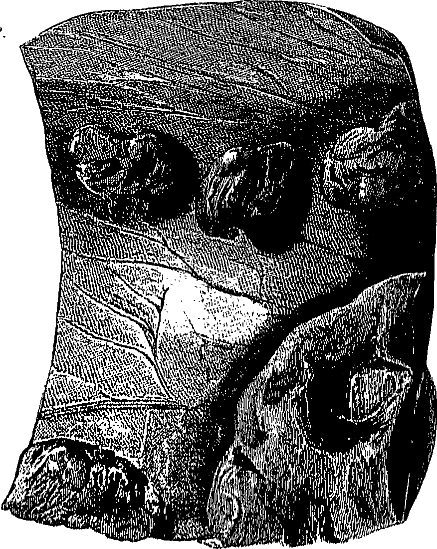 090/090550020002560_0.png