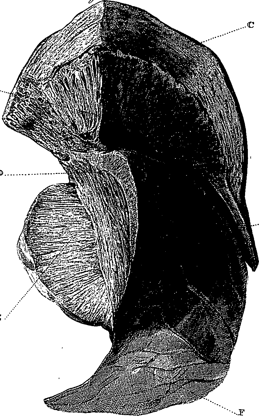 090/090550020002560_1.png