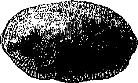 090/090550020002610_0.png