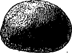 090/090550020002610_1.png