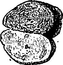 090/090550020002610_2.png