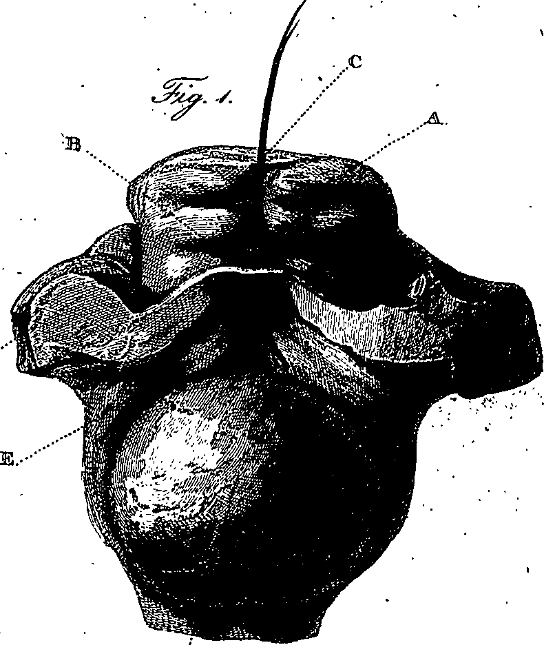 090/090550020002610_3.png