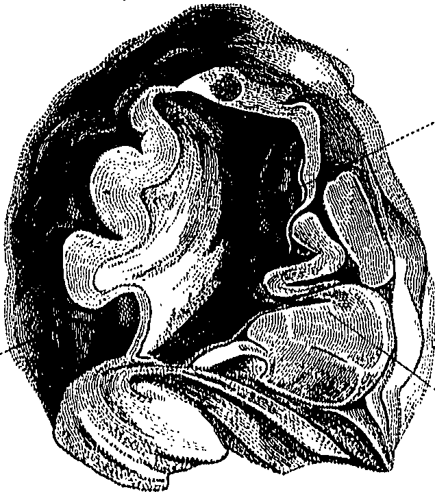090/090550020002650_1.png