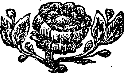 090/090560060000580_0.png