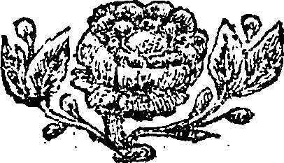 090/090560060000680_0.png