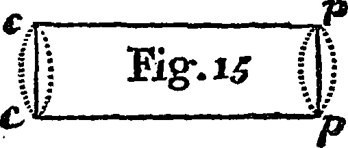 090/090560070003150_1.png