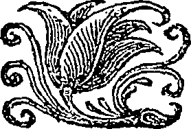 090/090580020003590_0.png