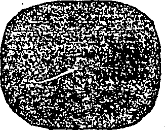 090/090650030100990_0.png