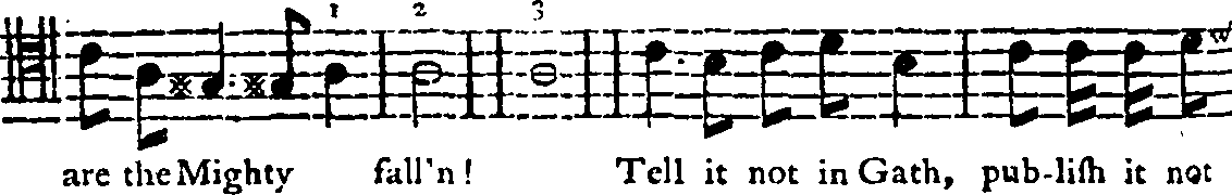 090/090660080000840_1.png