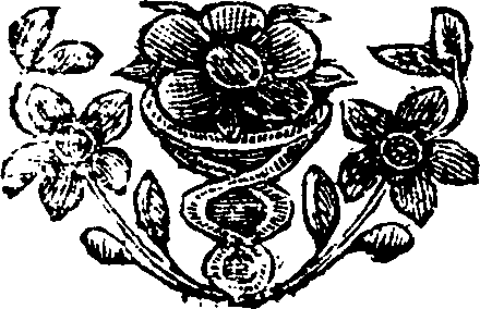 090/090670040202550_0.png