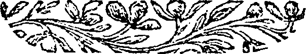090/090710020001510_0.png