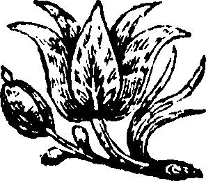 090/090710020001890_0.png