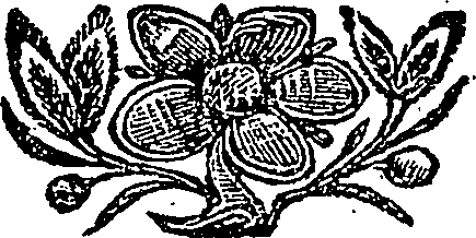 090/090780050000520_0.png