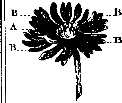 090/090900080004810_0.png