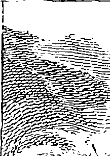090/090950020101610_0.png