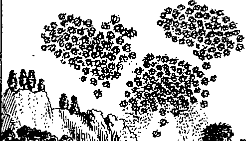 090/090950020104010_1.png