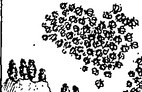 090/090950020104030_0.png