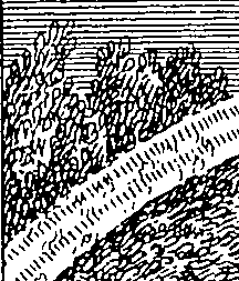090/090950020301200_0.png