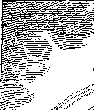 090/090950020301780_0.png