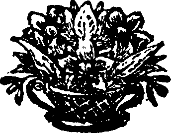 090/090970030002060_0.png