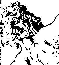 091/091060020100560_0.png