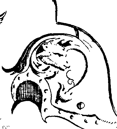 091/091060020200270_1.png