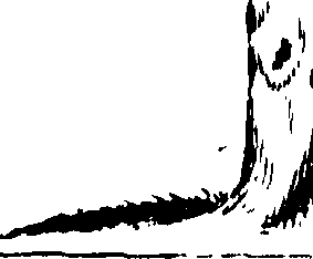 091/091060020201320_0.png