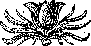 091/091120060001980_0.png