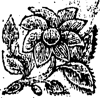 091/091120060002170_0.png