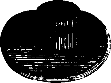 091/091130040102550_2.png