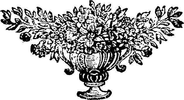 091/091170010005570_0.png