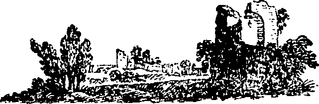 091/091180090003530_0.png