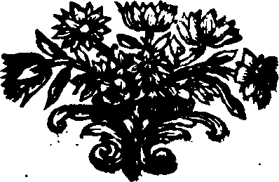 091/091260090000950_0.png