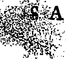 091/091460060000010_0.png