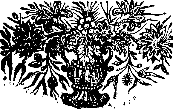 091/091550040000100_0.png