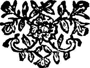 091/091650010300820_0.png